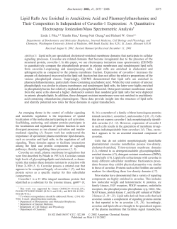 Lipid Rafts Are Enriched in Arachidonic Acid and