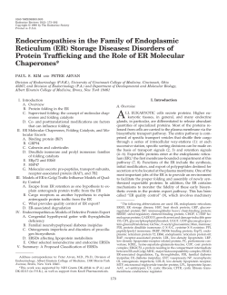 Endocrinopathies in the Family of Endoplasmic Reticulum (ER