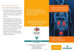 Diagnosing Tuberculosis in the Kidneys or Bladder How to collect