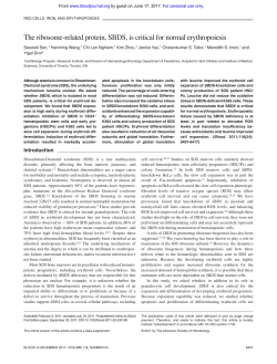 The ribosome-related protein, SBDS, is critical for normal