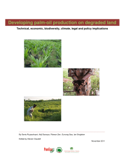 Developing palm-oil production on degraded land