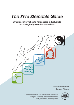 The Five Elements Guide