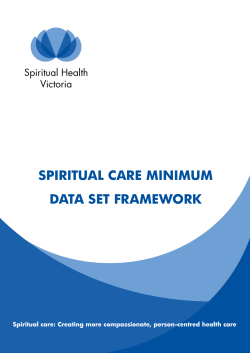 spiritual care minimum data set framework