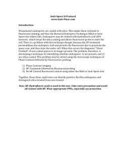 Insti-‐Spore Si Protocol www.Insti