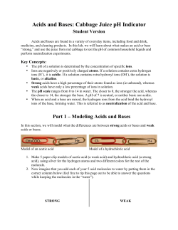 Acids and Bases: Cabbage Juice pH Indicator
