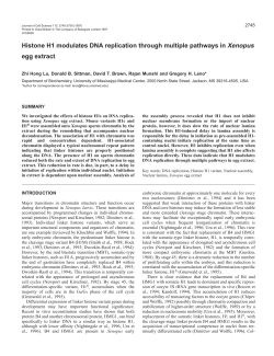 Histone H1 modulates DNA replication through multiple pathways in