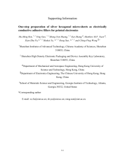 Supporting Information