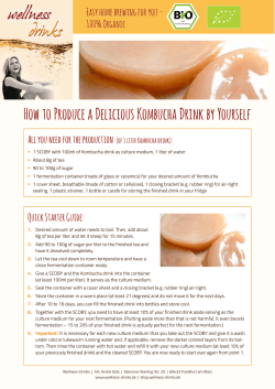 Making Kombucha: Instructions with many tips - Wellness