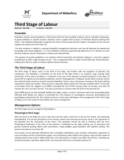 Third Stage of Labour - Birth Takes a Village