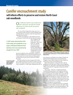 Conifer encroachment study will inform efforts to preserve and
