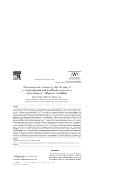 Chromosome aberration assays for the study of cyclophosphamide