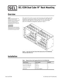 SEL ICON Dual Cube 19" Rack Mounting