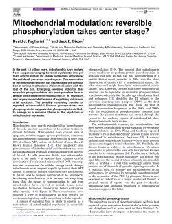 Mitochondrial modulation: reversible
