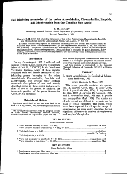 Soil-inhabiting nematodes of the orders Araeolaimida