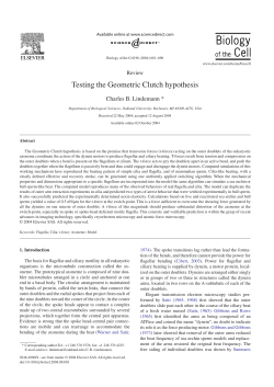 Testing the Geometric Clutch hypothesis