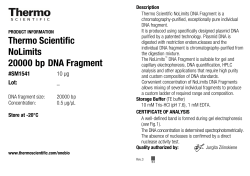 NoLimits 20000 bp DNA Fragment
