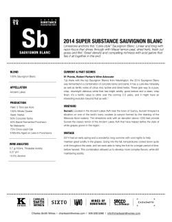 2014 Super Substance Sauvignon Blanc