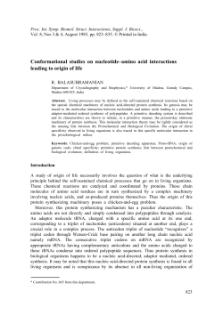 Conformational studies on nucleotide&ndash;amino acid interactions