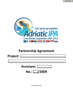 Partnership Agreement Project