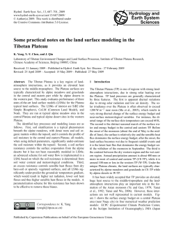 Some practical notes on the land surface modeling in the Tibetan