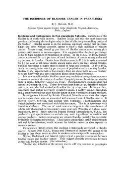 The Incidence of Bladder Cancer in Paraplegia