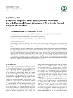 Behavioral Responses of the Snail Lymnaea acuminata towards