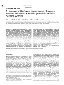 A new case of Wolbachia dependence in the genus Asobara