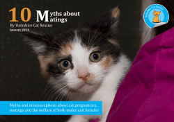 yths about atings - Yorkshire Cat Rescue