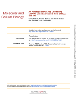 and NFI 2O2 Gene Expression: Role of H CYP1A1 An