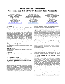 Micro-Simulation Model for Assessing the Risk of Car