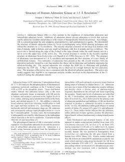 Structure of Human Adenosine Kinase at 1.5 &Aring; Resolution&dagger;