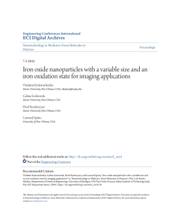 Iron oxide nanoparticles with a variable size and an iron oxidation