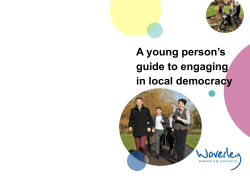 A young person`s guide to engaging in local democracy
