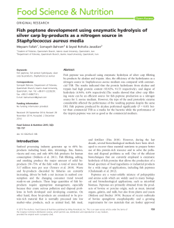 Fish peptone development using enzymatic hydrolysis of silver carp