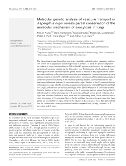 Molecular genetic analysis of vesicular transport