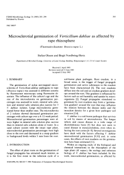 Microsclerotial germination of Verticillium dahliae as affected by