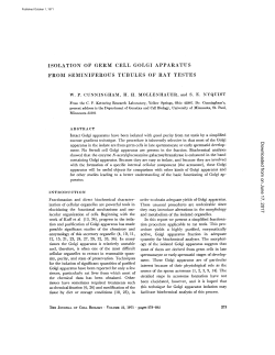 isolation of germ cell golgi apparatus from seminiferous