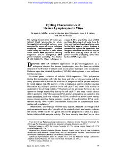 Cycling Characteristics of Human Lymphocytes In Vitro