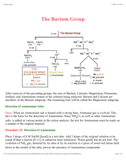 Barium Group - Boomeria.org