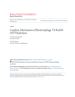 Catalytic Mechanism of Bacteriophage T4 Rad50 ATP Hydrolysis