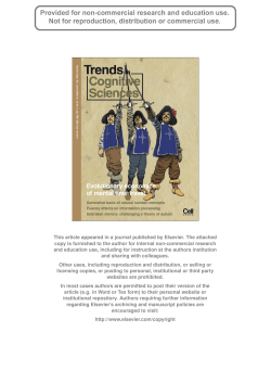 The secret life of fluency