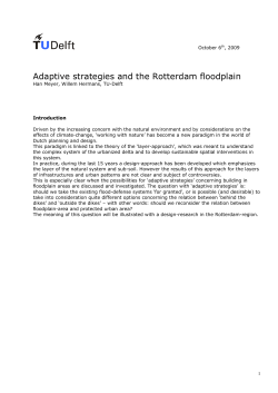 Adaptive strategies and the Rotterdam floodplain