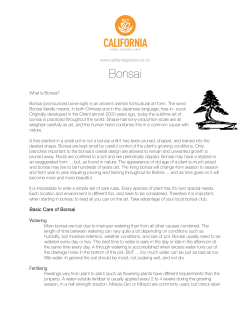 Bonsai - California Home And Garden