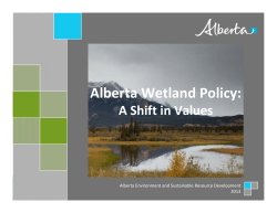 Alberta Wetland Policy: