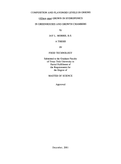 COMPOSITION AND FLAVONOID LEVELS IN ONIONS (Allium cepa