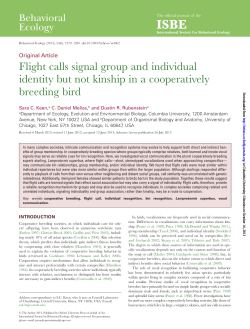Flight calls signal group and individual identity but not kinship in a