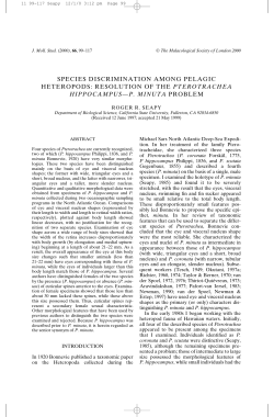 species discrimination among pelagic heteropods: resolution of the