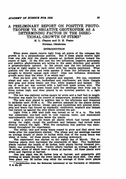 A Preliminary Report of Positive Phototropism vs. Negative