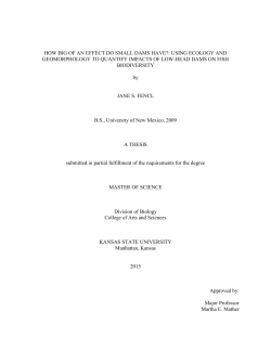 HOW BIG OF AN EFFECT DO SMALL DAMS HAVE?: USING