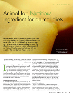 Animal fat: Nutritious ingredient for animal diets
